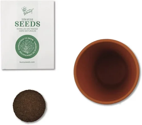 Miniatura 4 de BUZZY Seeds Daydream - Mini macetas de terracota con paquetes de semillas de margarita, juego de iniciación todo en uno con instrucciones medianas
