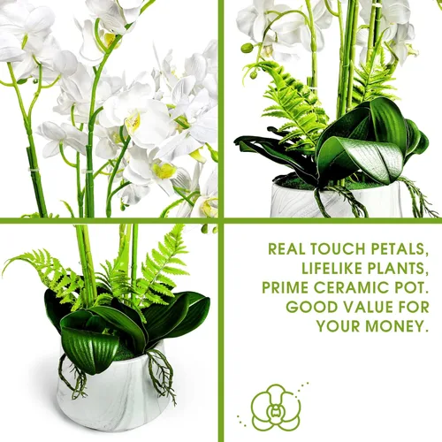 Miniatura 3 de W&W Plantas y flores artificiales de orquídea con jarrón, orquídea de seda sintética falsa en maceta de cerámica, 24 pulgadas, color blanco