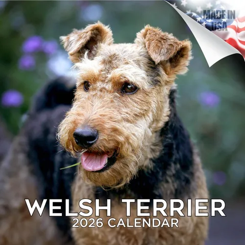 Miniatura 99 de Calendario 2025 2026 de cachorros Cocker Spaniel - Calendario mensual de pared de raza de perro - 12" x 24" abierto - Papel grueso sin sangrado