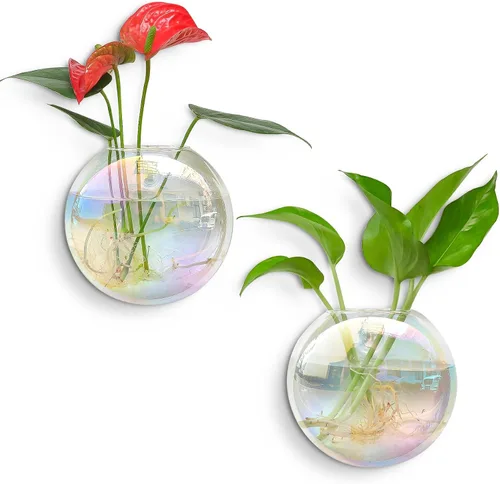 Miniatura 13 de Kingbuy Estación de Propagación de Plantas Colgante de Vidrio para Pared - Paquete de 2 Jarrones de Globo Oblato Montados en la Pared para Plantas