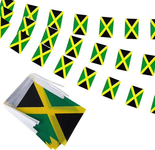 Miniatura 22 de Banderas de cuerda de 100 países, banderines internacionales, banderas del mundo para bares olímpicos, clubes deportivos, decoraciones escolares