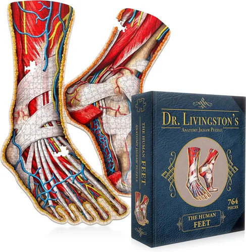 Miniatura 6 de Rompecabezas de anatomía de manos humanas del Dr. Livingston, un rompecabezas de manos médicamente preciso, juguete educativo y atractivo sobre