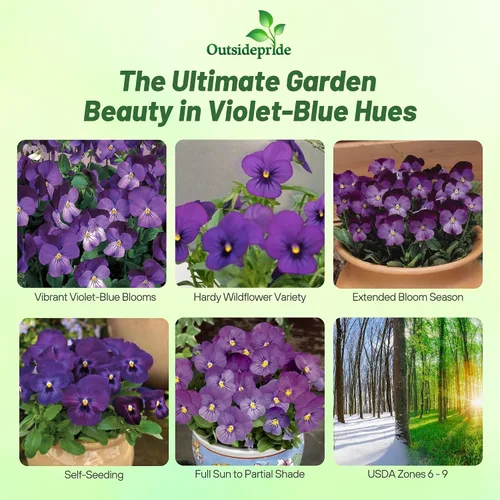 Miniatura 2 de Outsidepride Admiration Viola - Semillas de pensamiento para plantar, 1000 unidades. Flores perennes, resistentes al frío y aptas para polinizadores