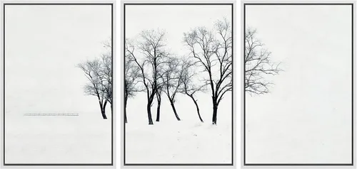 Miniatura 58 de SIGNWIN Lienzo enmarcado para pared, juego de arte nublado de tormenta, cielo, bosque otoñal, árboles, rústico, naturaleza, fotografía, realismo