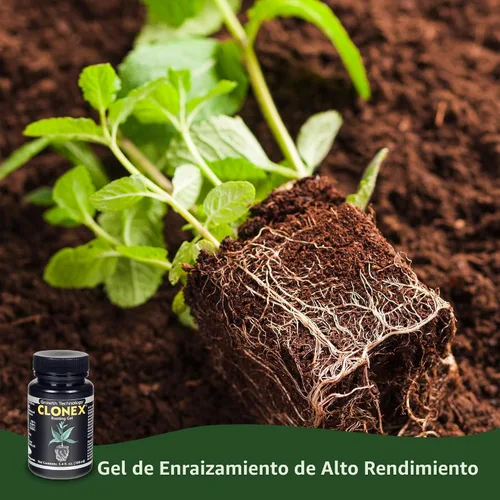 Miniatura 3 de Hydrodynamics International Clonex gel para raíces de 100 ml, Negro