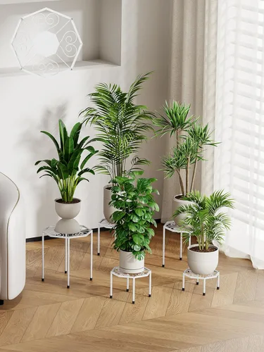 Miniatura 9 de Paquete de 5 soportes metálicos para plantas para interiores y exteriores, soporte de hierro antioxidante, estante resistente para macetas para Negro