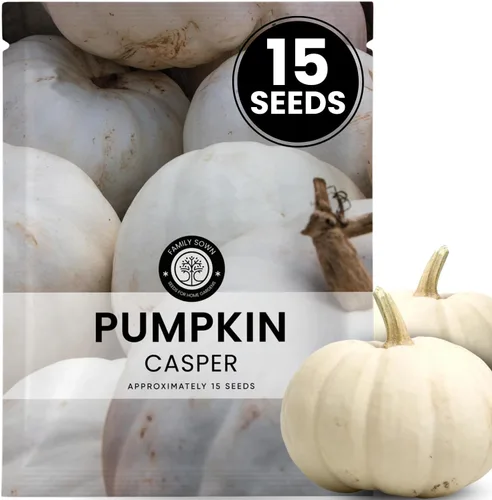 Miniatura 17 de Jack-O'-Lantern - Semillas de calabaza – 25 semillas premium para plantar – Talla clásica y cosecha de otoño variedad para la temporada 2026 – Bolsa