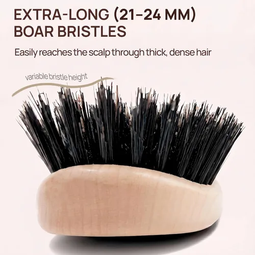 Miniatura 4 de Calcuta Max - Cepillo de cerdas de jabalí extra rígido 100% puro, perfecto para cabello grueso, mango de madera de fresno térmico, cepillo