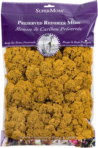 Miniatura 39 de Super Moss 21669 - Musgo de reno preservado, Chartreuse, 8 onzas (200 pulgadas cúbicas)