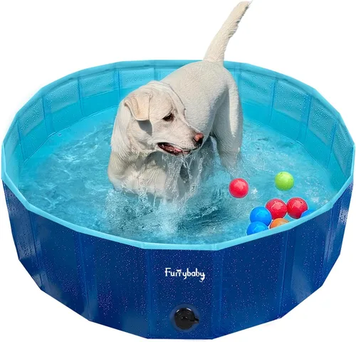 Miniatura 21 de Furrybaby Piscina para perros, piscina infantil plegable de plástico duro para perros grandes, portátil para mascotas, para nadar