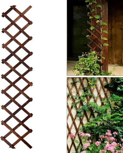 Enrejado de jardín expandible, enrejado de madera grueso de 13 x 68 pulgadas para plantas trepadoras, hiedra al aire libre, vid, rosa, clemátide