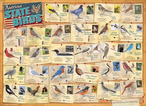 Miniatura 2 de Aves del Estado Americano de David Sibley
