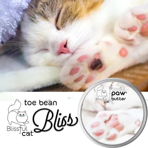 Miniatura 2 de The Blissful Cat Paw Butter, hidratante para almohadillas secas para patas, suaviza y protege una pata áspera, versátil bálsamo para patas de gato