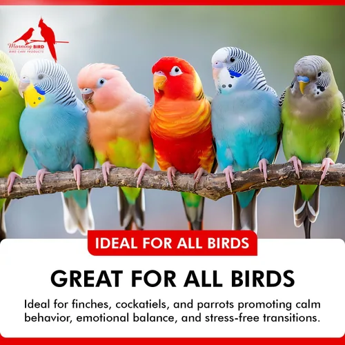 Miniatura 4 de Morning Bird Comida para el estado de ánimo, 2 onzas, suplemento calmante natural para pájaros, no sedante, comportamiento no deseado, desplumado