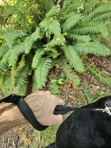 Miniatura 9 de Correa de perro resistente de 6 pies – Broche de liberación rápida, mango Dyneema, impermeable, 316 inoxidable, hecho a mano en Estados Unidos Negro