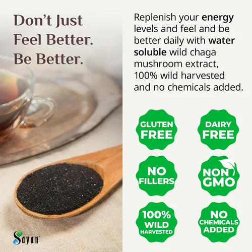 Miniatura 7 de Polvo extracto hongo chaga siberiano. Súper antioxidante, ayuda al sistema inmune., 2 onza, 1 Extracto de Chaga