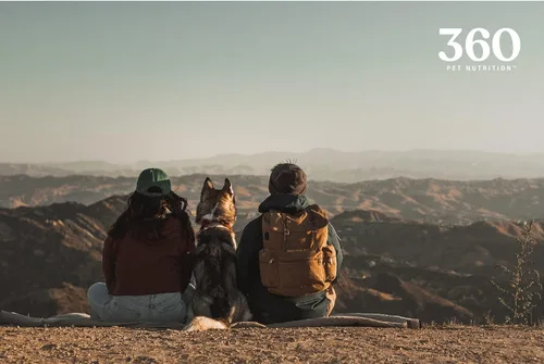 Miniatura 7 de 360 Pet Nutrition Golosinas de hígado de bisonte crudo liofilizado para perros, un solo ingrediente, alto en proteínas, sin granos, aperitivos