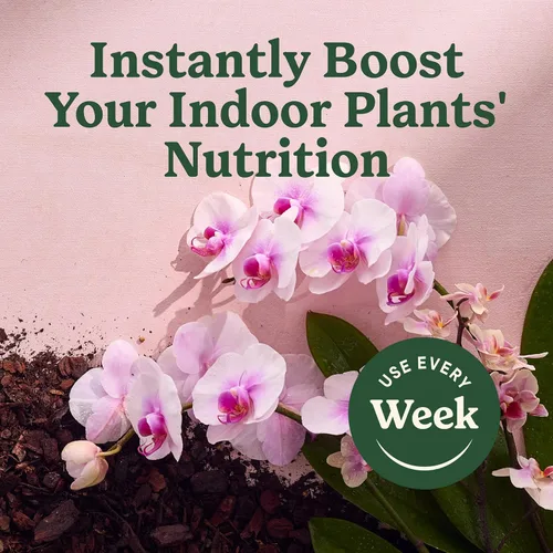 Miniatura 7 de Miracle-Gro Rocío de alimentos para plantas de interior para orquídeas, alimento para plantas de orquídeas, 8 onzas líquidas, paquete de 2 Niebla