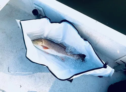 Miniatura 8 de Bolsa enfriadora térmica Buffalo Gear para peces, 40x18 pulgadas 48x18 pulgadas, a prueba de fugas, bolsa portátil impermeable, mantiene el hielo