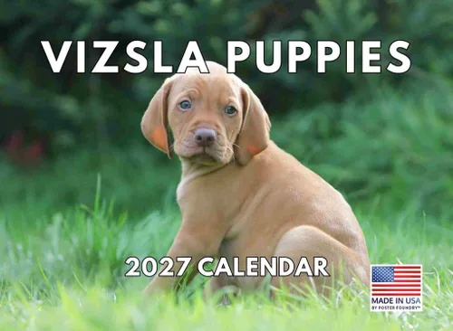 Miniatura 156 de Calendario de pared mensual 2025 Great Dane de 12 meses, fabricado en Estados Unidos