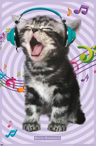 Miniatura 17 de Trends International Keith Kimberlin - Gato - Póster de pared cantando, 14.725 x 22.375 pulgadas, versión con marco de madera tipo granero