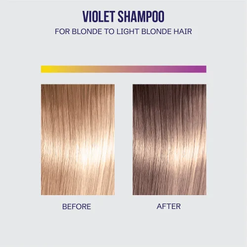 Miniatura 6 de Oligo Professionnel - Champú violeta Blacklight - Champú morado sin sulfato para rubias - Vegano - Elimina los tonos amarillos - Refrescar reflejos