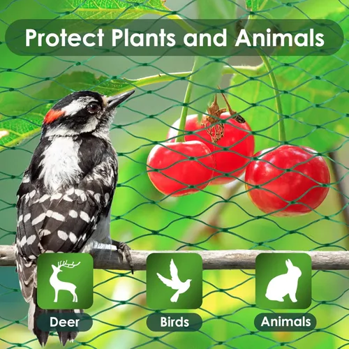 Miniatura 3 de Ruolan Red para pájaros para jardín, protege plantas vegetales y árboles frutales, 13 x 20 pies, red de plástico para pájaros, ciervos, ardillas