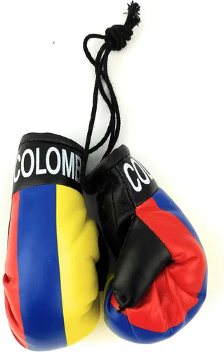 Miniatura 22 de Mini guantes de boxeo para colgar en el espejo del coche (Camerún)
