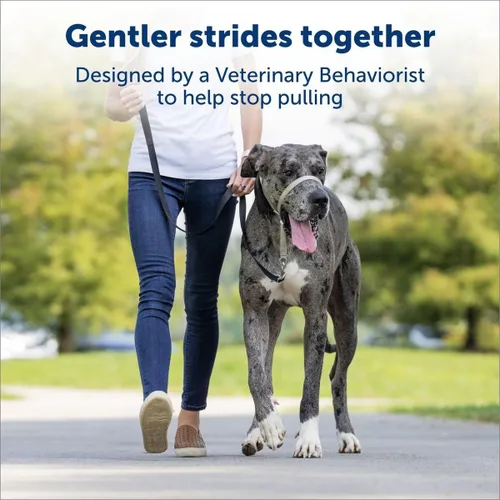 Miniatura 5 de Collar de cabeza suave líder de entrenamiento para perros anti tirones para caminar elige el tamaño (pequeño - negro)