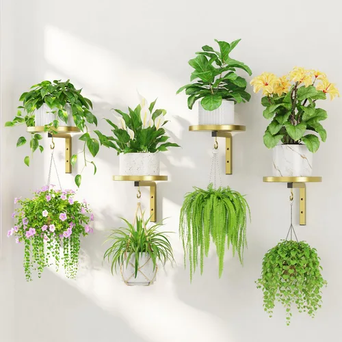 Miniatura 20 de LASZOLA 2 piezas de estantes de pared para plantas con ganchos para macetas de interior, soportes flotantes de ventana de metal resistente para Negro