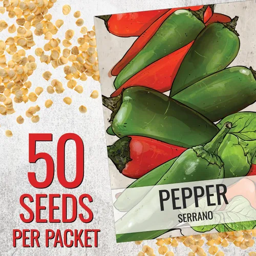 Miniatura 3 de Seed Needs Semillas de pimiento picante para plantar chiles serranos, semillas de vegetales sin OMG y sin tratar para plantar un jardín vegetal
