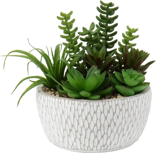 Briful Pequeñas plantas falsas surtidas suculentas falsas en macetas, plantas suculentas realistas artificiales con macetas de cemento para el