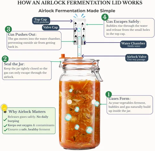 Miniatura 5 de JILLMO Tarro de fermentación, kit de fermentación de vidrio de 2 litros con pesas y esclusas de fermentación para kombucha, chucrut, paquete de 2
