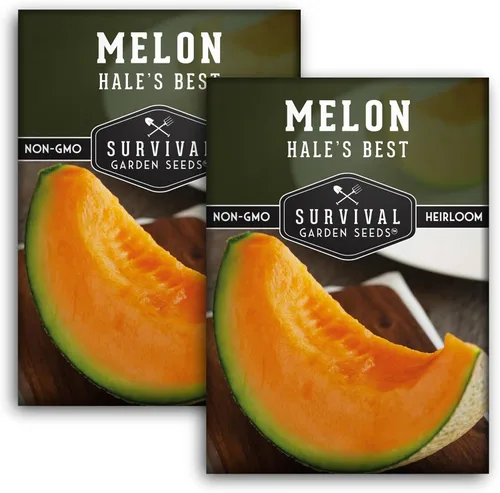 Miniatura 11 de Survival Garden Seeds - La mejor semilla de melón de Hale para plantar - Cultiva melón jugoso para comer - 5 paquetes con instrucciones para plantar