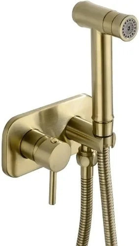 TRUSTMI Juego de Rociador de Bidé Oculto de Agua Caliente y Fría para Baño, Rociador de Mano Shattaf, Accesorio de Inodoro de Agua Tibia, Oro Oro