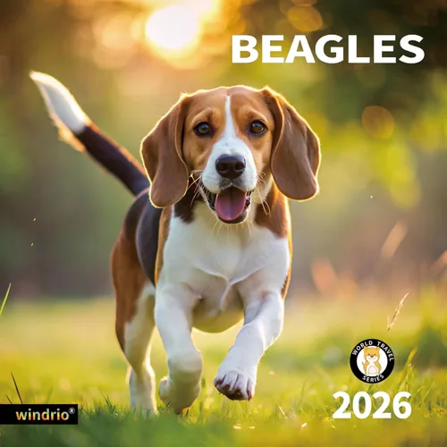 Calendario de Pared 2026, Calendario 2026, noviembre de 2025 a diciembre de 2026, Calendario de Pared Beagles, 12" x 24" abierto, página completa,