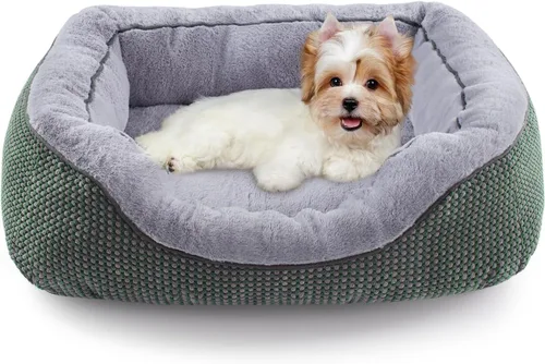 Miniatura 15 de INVENHO Cama para perros pequeños para perros pequeños, camas para gatos de interior, lavable, cama ortopédica para perros, cama cálida suave y Gris