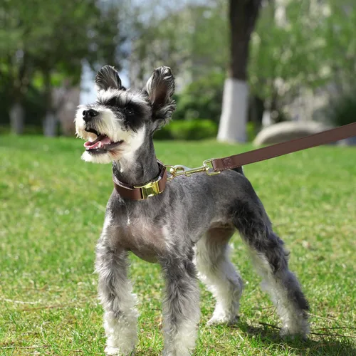 Miniatura 2 de PET ARTIST Juego de collar y correa de piel sintética suave para perro, brillante y elegante, juego de correa y collar de piel sintética de 5 pies