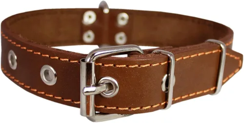 Miniatura 2 de Collar de perro de cuero genuino de 1.25 x 22 pulgadas, se adapta a cuello de 15 a 20 pulgadas, marrón
