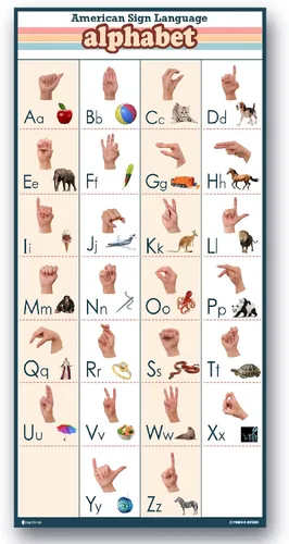 Miniatura 4 de Young N Refined Póster de lenguaje de signos para niños ABC GRANDE LAMINADO con imágenes (18 x 30)