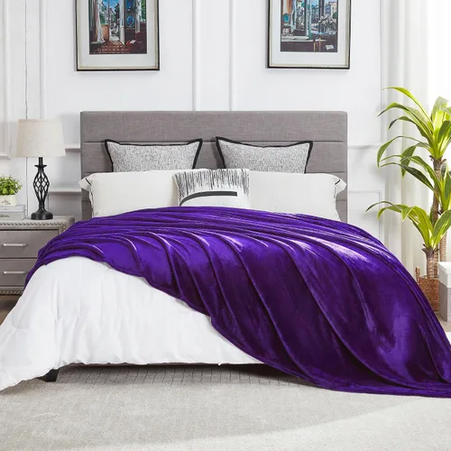 Miniatura 54 de Dreamnine Manta extrasuave, vellón de felpa, silla, sofá, 50 x 60 pulgadas, franela de terciopelo, ligera, mullida, microfelpa, decorativa, cálida