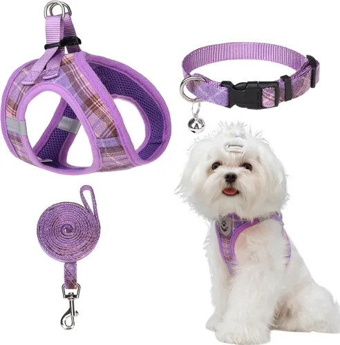 Miniatura 12 de EXPAWLORER Arnés Clásico de Plátanos para Cachorros - Juego de Arnés y Correa para Perros Pequeños - Juego de Collar y Correa para Perros con Azul