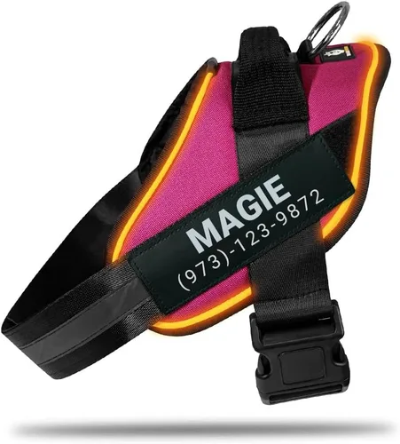 Miniatura 11 de DOGGYKINGDOM Arnés LED personalizado sin tirones para perro con parches de nombre personalizados, recargable por USB, ajustable, reflectante