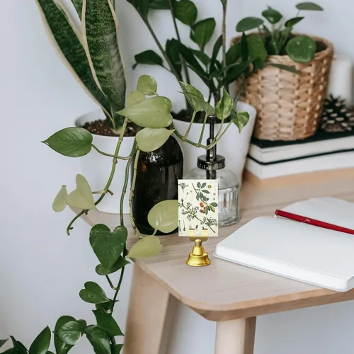 Miniatura 6 de Paquete de 12 tarjeteros dorados de mesa y tarjeteros de lugar – Elegantes soportes para números de mesa para bodas, eventos y fiestas – Tarjetero