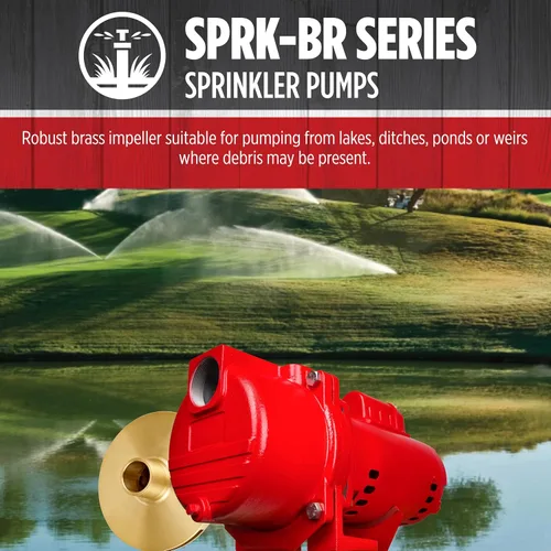 Miniatura 5 de Red Lion RL-SPRK-200-BR, 230 voltios, 2 HP, 77 GPH, bomba de aspersión/riego con impulsor de latón, roja, 97102002