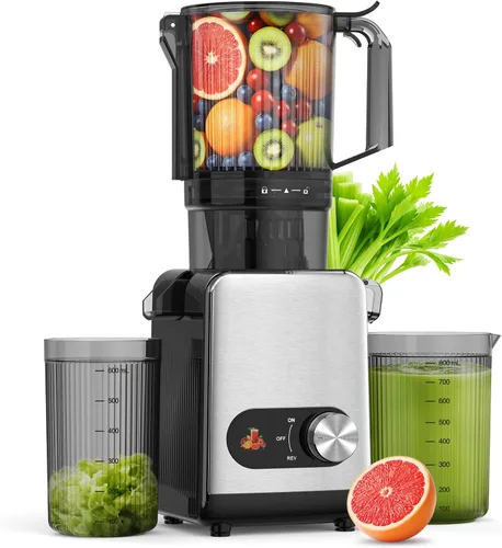 AGLUCKY Exprimidor de prensa en frío, extractor de jugo de canal de alimentación grande, máquina de autoalimentación de alto rendimiento de jugo,