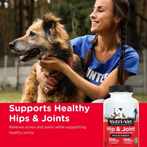 Miniatura 2 de Nutri-Vet Suplementos para perros de fuerza regular para cadera y articulaciones, formulados con glucosamina condroitina, suministros para mascotas