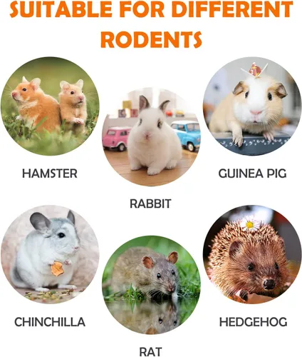 Miniatura 6 de Sofier Timothy Heno Treats - Juguetes para conejo, conejillo de indias, masticables naturales para dientes hechos a mano para conejos, masticables