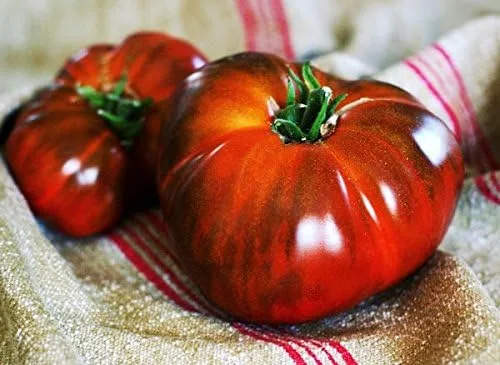 Miniatura 5 de Más de 30 semillas de tomate Paul Robeson, reliquia sin OMG, bajas en ácido, indeterminadas, polinizadas abiertas, sabor rico, de Estados Unidos