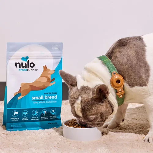 Miniatura 6 de Nulo Frontrunner Ancient Grains - Alimento para perros de raza pequeña con alto contenido de proteínas, receta de pavo, pescado blanco y quinua